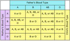 7 Best Blood Groups Images In 2019 Blood Groups Blood