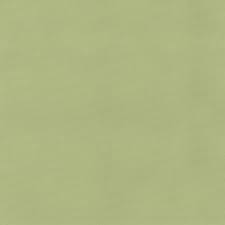 A great selection of clothing. Tissu Chintz Uni Vert Anis Teflon Tissus Des Ursules