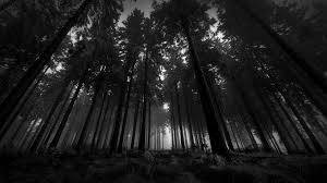 A dark background can be unreadable if done incorrectly, people can be intimidated by such a striking visual choice, people may labor under the misconception that a black background is automatically flat and lacking depth, and the list goes on from there. Windows Bacgrounds Image Desktop Background Dark