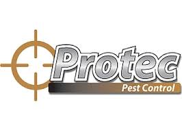 Our exterminator services are one of the best in the market. 3 Best Pest Control In Richmond Hill On Expert Recommendations