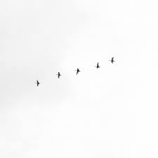 Dark aesthetic wallpaper 1920x1080 hd wallpaper for desktop. Monochrome Black And White Aesthetic Wallpaper Hd