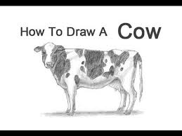 How To Draw A Cow Youtube Cow Drawing Cow Sketch Cow Art