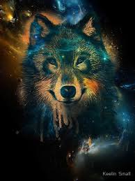 Sometimes, he's a true hero, while others, he's a villain. Real Galaxy Rainbow Wolf Novocom Top