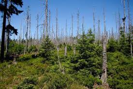 Maybe you would like to learn more about one of these? Hujan Asid Menyebabkan Pembentukan