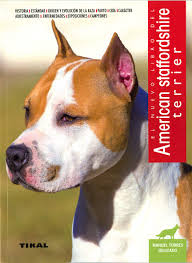 American staffordshire terrier faqs frequently asked questions. Americanstaffordshire Terrier Amazon De Torres Delicado Manuel Fremdsprachige Bucher