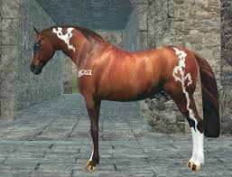 Championship series with over $10,000 in prize money each season. Jumpy Horse