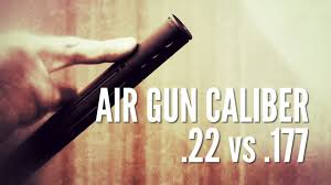 Why use airguns for pest control? Which Pellet Should I Choose 22 Versus 177 Gamo Air Guns Youtube