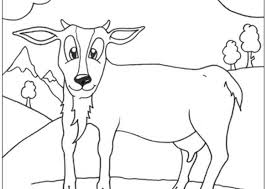 Goat coloring pages are black and white images of a horned animal, familiar to all children. Cute Goat Coloring Pages Coloring Home