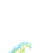 Image result for Mesotype parallelolineata