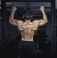 Some of the largest back muscles that most people are familiar with include the trapezius, latissimus dorsi, rhomboids, and erector spinae. How To Strengthen Back Muscles Exercises For A Stronger Back