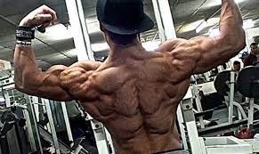 Schnell und einfach zubereitet mit gesunden zutaten. Shredded Der Plan Zur Reduktion Von Korperfett