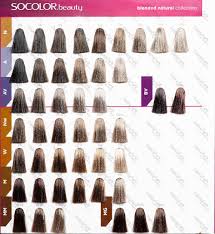 Matrix Ultra Blonde Socolor Chart Www Bedowntowndaytona Com