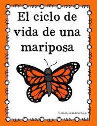 Pin On Proyecto Mariposas