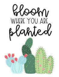 I thought of the tips that personally i do and have helped me whenever i was in a slump or just getting started. Cactus Saying Printable Cactus Quotes Cactus Pictures Cactus
