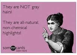 Pin By Katrina Drury On Humor Hair Humor Grey Hair Quotes Funny Quotes