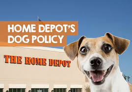 Does Home Depot Allow Dogs Why The Policy Might Change