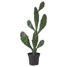 You will need to be extra careful when removing cacti flowers. Fejka Artificial Potted Plant Indoor Outdoor Cactus Ikea