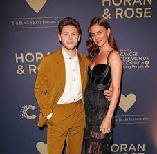 Is Niall Horan Gay? Sexuality Partner Family And Insta