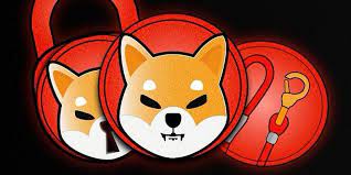 Shib), also known as shiba token, is a decentralized cryptocurrency created in august 2020 by an anonymous person known as ryoshi. What Is Shiba Inu Coin How Does It Work Knowlab