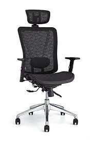 Cedric Ergonomic Mesh Office Chair High Back Desk Chair With Adjustable Lumbar Support Pu Armrests Office Chair Best Ergonomic Office Chair Mesh Office Chair