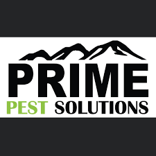 Prime Pest Solutions
