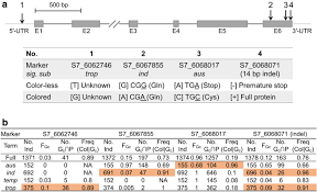 Digital quran , alquran download , alquran for pc , alquran indonesia. Explore The Genetics Of Weedy Traits Using Rice 3k Database Botanical Studies Full Text