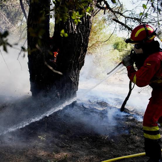 España registra el mayor incendio de su historia reciente; Macron convoca un gabinete de crisis - France 24
