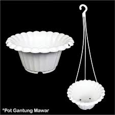 Mawar biru dan hitam tidak ada. Pot Bunga Gantung Cantik Pot Mawar Putih Murah Shopee Indonesia