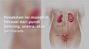 Jika terdapat batu karang yang di dalam pundi kencing, beberapa prosedur seperti. Kencing Pedih Dysuria Punca Gejala Dan Cara Rawatan Doctoroncall