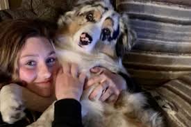 Fundraiser for Heather DeJonge by Jamie Nienhuis : Supporting the DeJonge  family