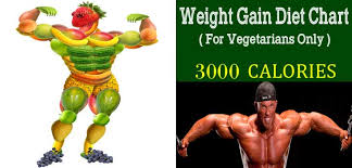 indian weight gain diet chart for vegetarians 3000 calories