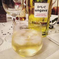Gin Ungava Du Grand Nord Quebecois Premium Gin Gin Alcoholic Drinks