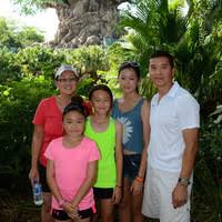 Image result for Cleome polyanthera