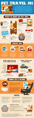 Http Blog Ludevie Com Br Viajar Com Animais Na Cabine Viagem Travel Turismo Viajar Com Animais Pet Travel Pet Hacks Pet Safety