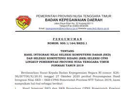 Ada 37.854 formasi dibuka pemerintah untuk 74 kementerian dan lembaga. Hasil Cpns 2019 Pemprov Ntt Dan Pemprov Ntb Sudah Diumumkan Ini Link Nya Halaman All Kompas Com