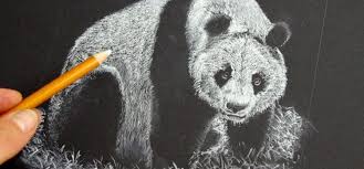 Voici Une Methode Originale Pour Dessiner Un Panda En Noir Et Blanc Comment Dessiner Un Chat Dessin Chat Dessin