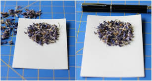 Place a larger piece of waxed paper over the outline and hold with tape, avoid covering the outline with tape. Handmade Topiary Cards With Dried Flowers Make And Takes