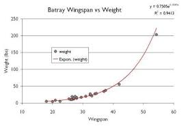 Bat Ray Weight And Length