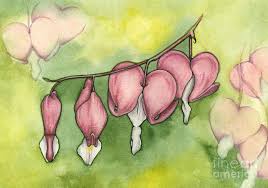 Maybe you would like to learn more about one of these? Bleeding Hearts Painting By Nora Blansett