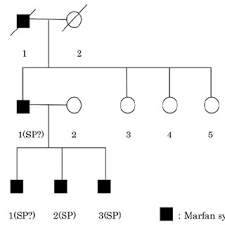 Three Generation Pedigrees Showing Family Members With