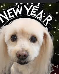 Photo by Renee Schreiber DiNicola (@reneedee) · January 1, 2025