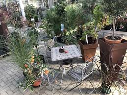 Jeder mensch verdient seinen eigenen garten. Garten Center Bendick Ihr Gartencenter Im Tecklenburger Land