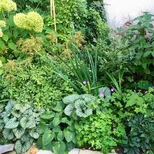 Check spelling or type a new query. Schritt Fur Schritt Zum Traumbeet Der Boden Wir Sind Garten