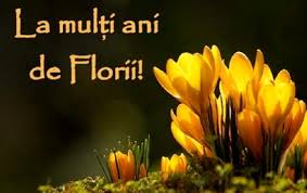 Aici găsești cele mai frumoase mesaje și urări de florii! Cele Mai Frumoase Èi Haioase Mesaje Sms Uri Èi FelicitÄri De Florii