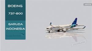 Boeing 737 800 Garuda Indonesia Download Minecraft Map