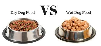 Ground dog food is a useful ingredient for making dog treats. Wet Food Vs Dry Dog Food Which Is Best For Your Pet Paw Castle