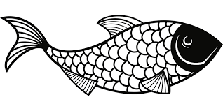 Download Free Photo Marine Fish Scales Swimming Animal Line Art Max Pixel