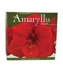 We did not find results for: Red Lion Amaryllis Bulbs Wilco Farm Stores