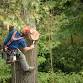 Arborist Training - Lansing, Michigan