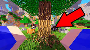 Wie gut kennst du dich mit youtube aus? Regal Entertainment Tv So Realistisch War Minecraft Noch Nie